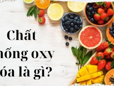 Chất chống oxy hóa là gì và có vai trò gì với cơ thể
