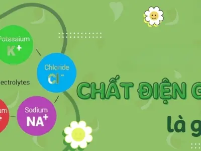 Chất điện giải là gì? Những điều bạn cần biết ngay