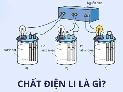 Chất điện li là gì và cách phân loại theo khả năng phân ly