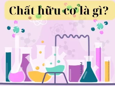 Chất hữu cơ là gì? Ứng dụng thực tế trong đời sống hằng ngày