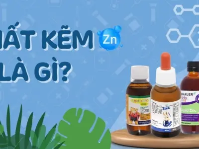 Tìm hiểu chất kẽm là gì và tác dụng đối với sức khỏe