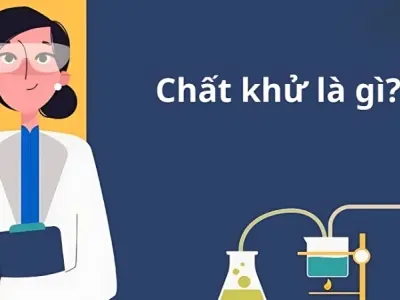 Chất khử là gì và vai trò của nó trong phản ứng hóa học