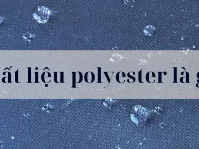 Chất liệu polyester là gì? Ưu điểm nổi bật của nó