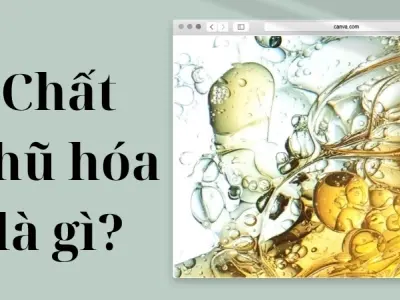 Chất nhũ hóa là gì? Cơ chế hoạt động và tính năng