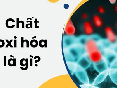 Chất oxi hóa là gì? Có gây hại cho sức khỏe hay không?