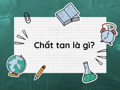 Chất tan là gì? Hiểu rõ vai trò của chất tan trong dung dịch