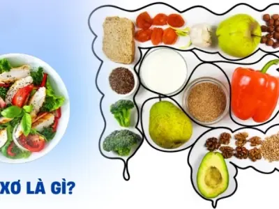 Chất xơ là gì? Phân loại và nguồn thực phẩm giàu xơ