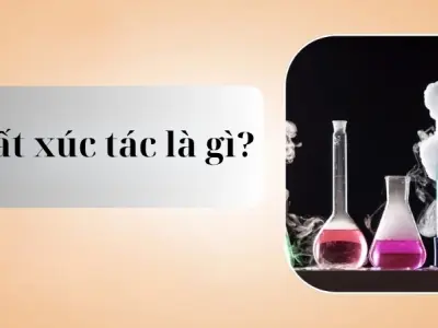 Chất xúc tác là gì? Tính chất, phân loại và ứng dụng thực tế