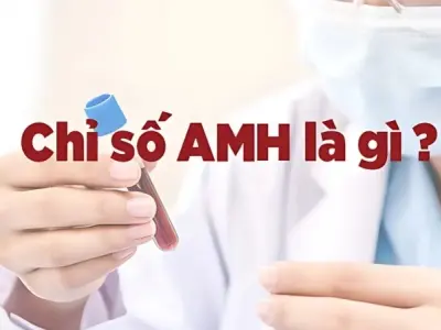Chỉ số AMH là gì? Hiểu rõ để đánh giá khả năng sinh sản