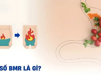 Giải mã chỉ số BMR là gì và cách áp dụng vào giảm cân