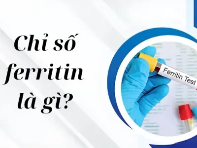 Chỉ số ferritin là gì? Hiểu đúng để bảo vệ sức khỏe