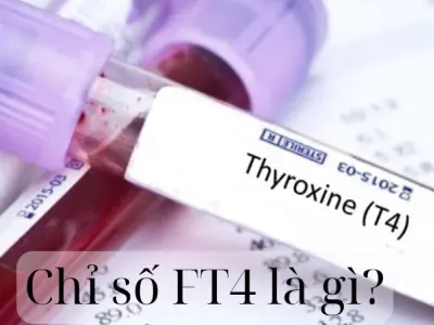 Chỉ số FT4 là gì? Ý nghĩa trong xét nghiệm tuyến giáp