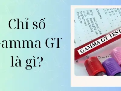 Chỉ số Gamma GT là gì và ý nghĩa trong xét nghiệm máu