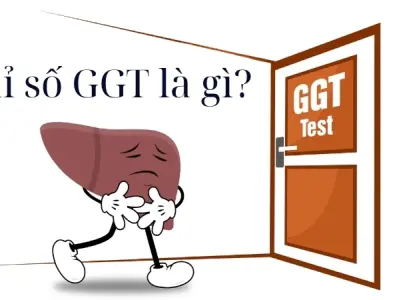 Chỉ số GGT là gì và làm sao để kiểm soát hiệu quả