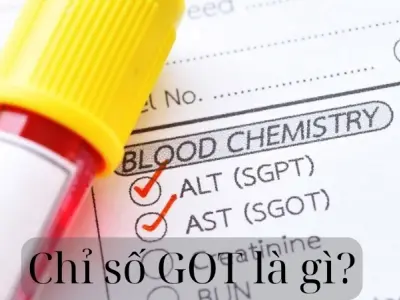 Chỉ số GOT là gì và có ý nghĩa gì trong xét nghiệm máu