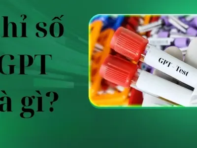 Chỉ số GPT là gì? Những điều cần biết rõ nhất về chỉ số này