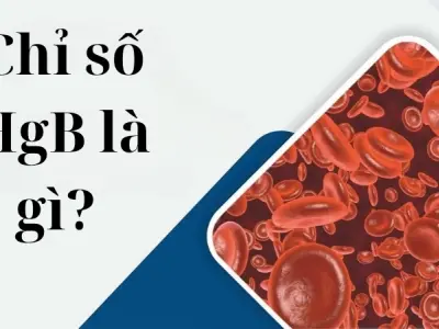 Chỉ số HGB là gì và có ý nghĩa ra sao trong xét nghiệm