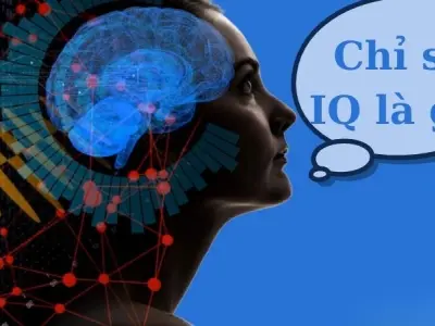 Chỉ số IQ là gì và nó ảnh hưởng gì đến cuộc sống bạn