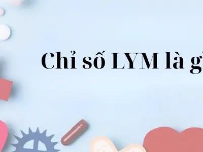 Giải mã chỉ số LYM là gì trong kết quả xét nghiệm
