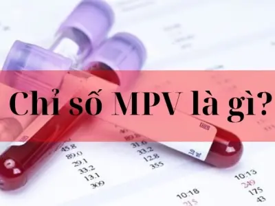 Chỉ số MPV là gì và ý nghĩa với sức khỏe của bạn