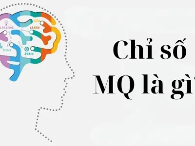 Tìm hiểu chi tiết về chỉ số MQ là gì và ý nghĩa thực tế