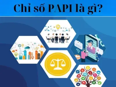 Chỉ số PAPI là gì và có ảnh hưởng ra sao đến chính sách công