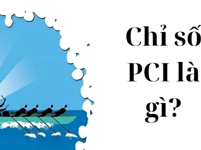 Chỉ số PCI là gì và ứng dụng trong hoạch định chính sách