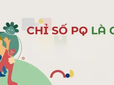 Chỉ số PQ là gì và tại sao quan trọng trong cuộc sống