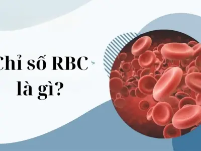 Tìm hiểu chỉ số RBC là gì trong xét nghiệm huyết học