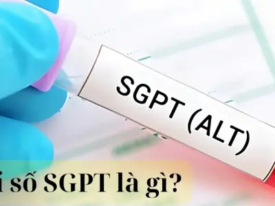 Chỉ số SGPT là gì và có nguy hiểm đến sức khỏe không?
