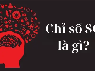 Chỉ số SQ là gì và ý nghĩa của nó trong cuộc sống