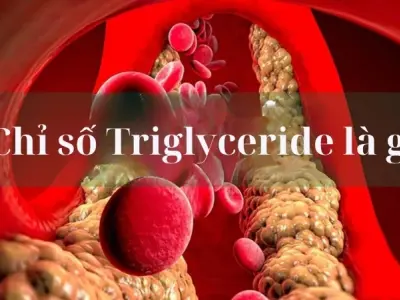 Chỉ số triglyceride là gì và cách kiểm soát hiệu quả