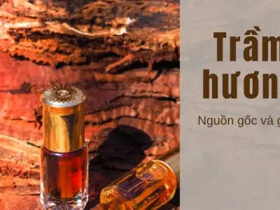 Cách phân biệt trầm hương thật giả - Bí quyết chọn đúng trầm tự nhiên