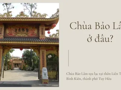 Chùa Bảo Lâm ở đâu? Những điều bạn cần biết khi ghé thăm