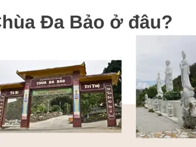 Chùa Đa Bảo ở đâu? Chi tiết điểm đến yên bình giữa núi non