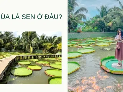 Chùa lá sen ở đâu? Kinh nghiệm tham quan và lễ bái chi tiết
