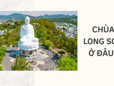 Chùa Long Sơn ở đâu? Tìm hiểu lịch sử và kiến trúc độc đáo