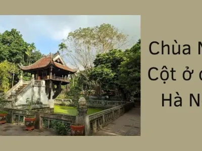 Chùa Một Cột ở đâu? Hành trình khám phá kiến trúc độc đáo