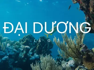 Đại dương được hình thành như thế nào? Bí ẩn của hành tinh xanh