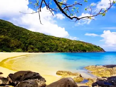 Đắm chìm trong vẻ đẹp hoang sơ tại bãi Đầm Trầu