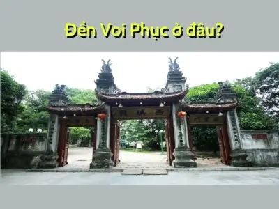 Đền Voi Phục ở đâu? Hành trình tìm về di tích thờ vị thần
