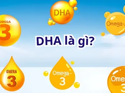 DHA là chất gì? Vai trò và lợi ích quan trọng cho cơ thể