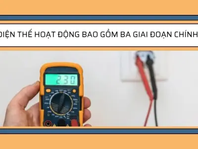 Điện thế nghỉ và điện thế hoạt động được hình thành như thế nào?