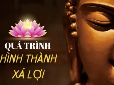Xá lợi được hình thành như thế nào? Giải mã hiện tượng kỳ bí của tâm linh