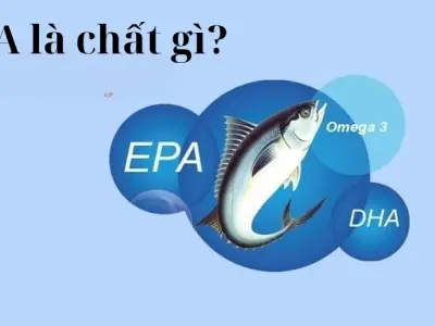 EPA là chất gì? Những điều cần biết về axit béo này