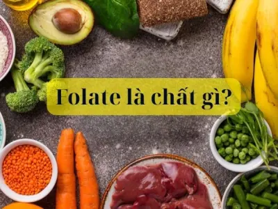 Folate là chất gì? Vai trò thiết yếu với sức khỏe bạn