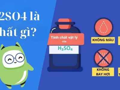 H2SO4 là chất gì? Tìm hiểu đặc điểm và ứng dụng thực tế