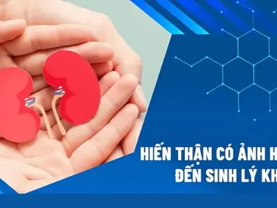 Hiến thận có bị sao không và những ảnh hưởng lâu dài