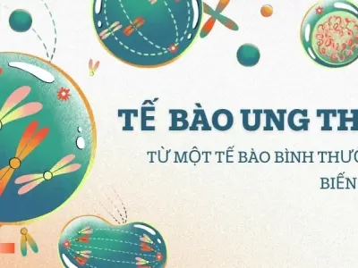 Hiểu rõ tế bào ung thư được hình thành như thế nào để phòng ngừa hiệu quả