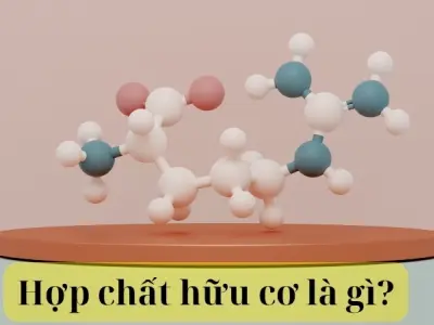 Hợp chất hữu cơ là gì? Vai trò trong đời sống hằng ngày